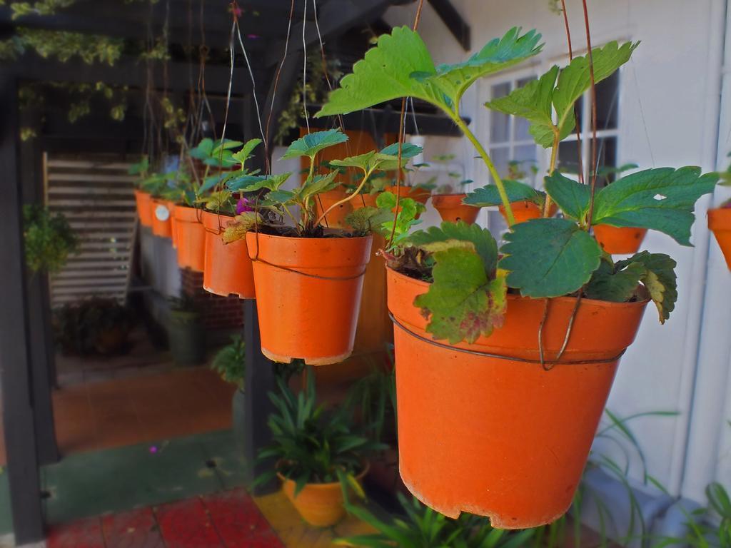 Royal Kalaw Hills Resort Eksteriør bilde